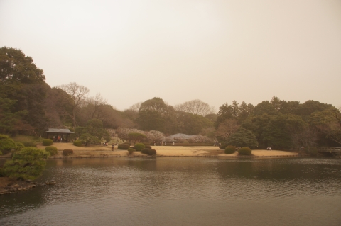 煙霧に煙る日本庭園