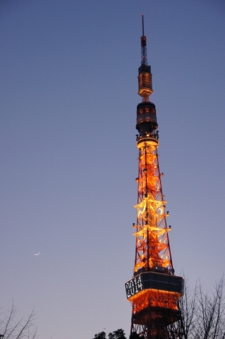 東京タワーと三日月