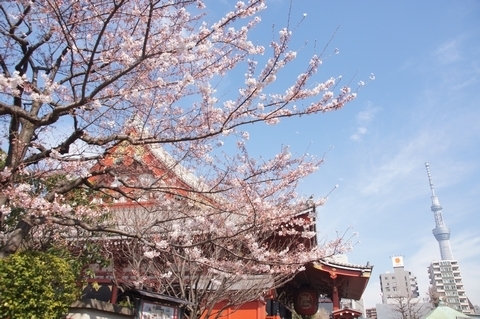 浅草寺と東京スカイツリー