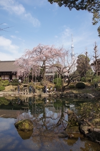 伝法院庭園と東京スカイツリー