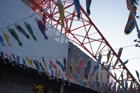 東京タワーの鯉のぼり2