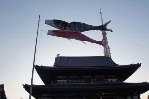 増上寺の鯉のぼりと東京タワー.JPG