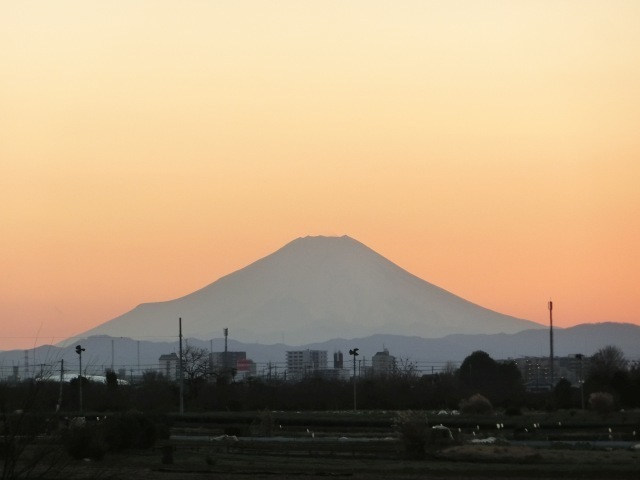 夕暮れ路上富士2