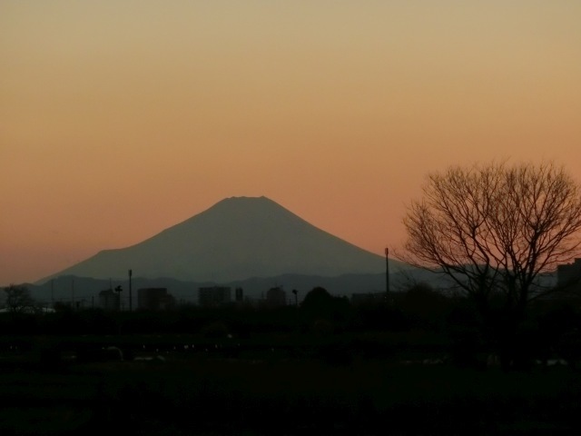 夕暮れ路上富士3