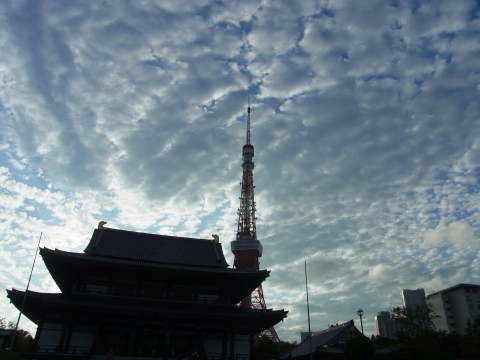 増上寺と東京タワー2