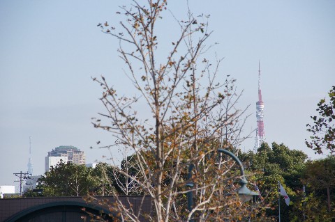 東京タワーと東京スカイツリー