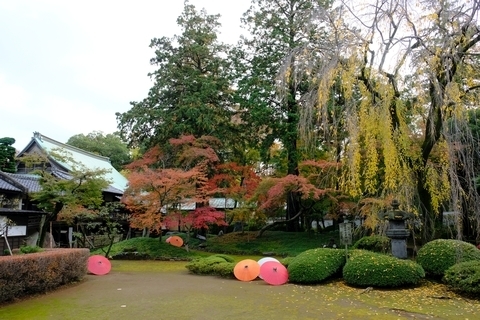 紅葉山庭園1