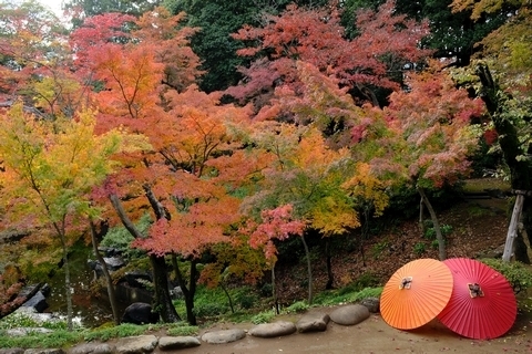 川越大師喜多院の紅葉 その１