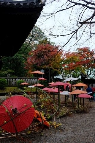 和傘と紅葉1