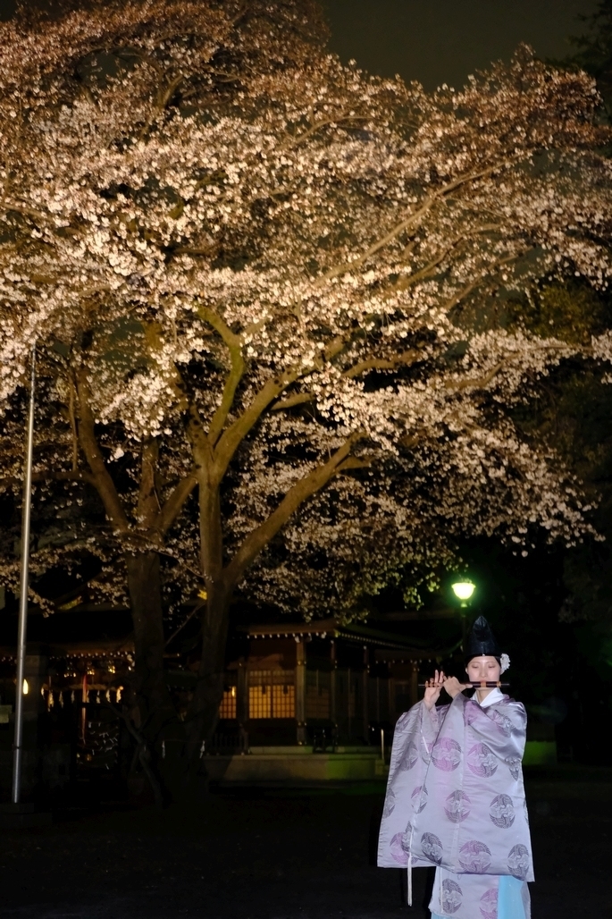 桜と宮司さん