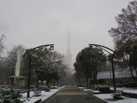 雪の芝公園から東京タワー