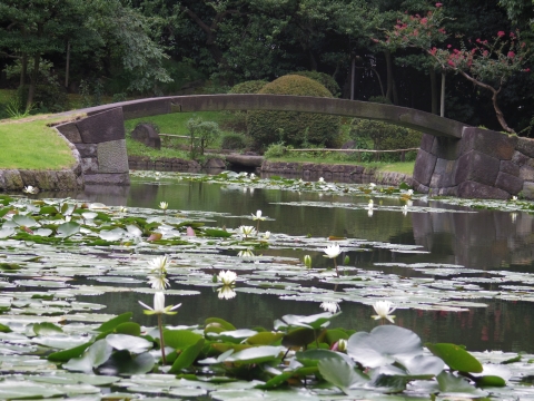 美しき日本庭園