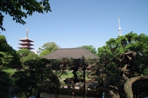 五重塔と東京スカイツリー
