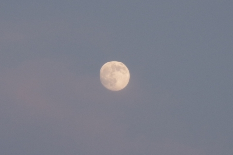 ほんのり夕焼け色の小望月