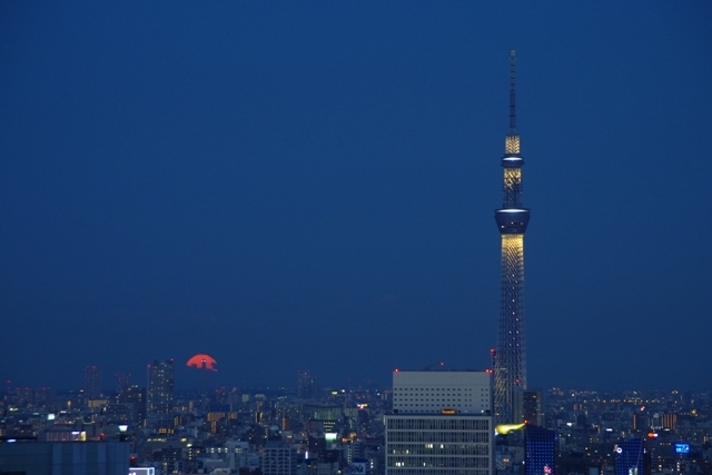 上りたての満月と東京スカイツリー