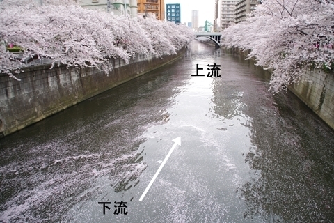 ̐}1
