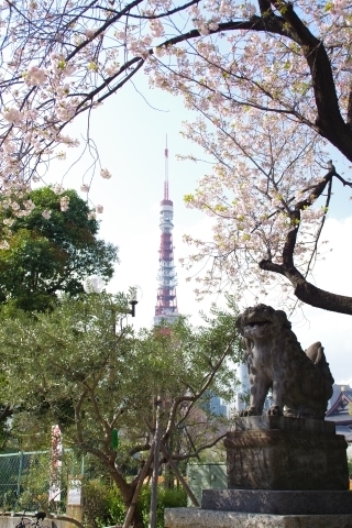狛犬と桜と東京タワー