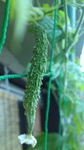 120727_0905~01.jpg
